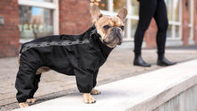 Load image into Gallery viewer, The Slush Suit by Canada Pooch - Black