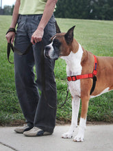 Load image into Gallery viewer, Easy Walk® Deluxe Easy Walk Harness