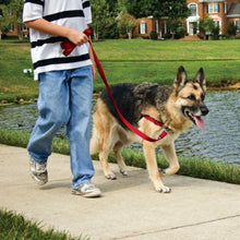 Load image into Gallery viewer, Easy Walk® Harness, No Pull Dog Harness