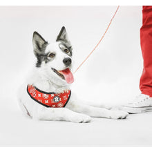Load image into Gallery viewer, Monogram Hype Adjustable Mesh Harness