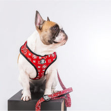 Load image into Gallery viewer, Monogram Hype Adjustable Mesh Harness