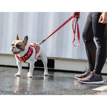 Load image into Gallery viewer, Monogram Hype Adjustable Mesh Harness