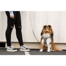 Load image into Gallery viewer, Checkerboard Adjustable Mesh Harness