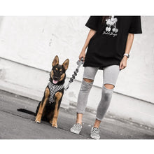 Load image into Gallery viewer, Checkerboard Adjustable Mesh Harness