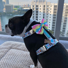 Load image into Gallery viewer, Dog Pet Strap Health Adjustable Harness | Pupsicle Icecream