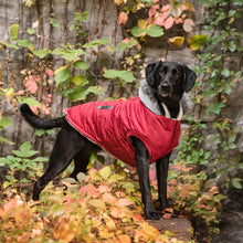 Load image into Gallery viewer, Brave Bark Thermal Parka