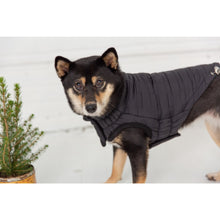 Load image into Gallery viewer, GF Pet Reversible Elasto-Fit Chalet Jacket - BLACK