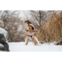 Load image into Gallery viewer, GF Pet Reversible Elasto-Fit Chalet Jacket - PINK