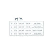 Load image into Gallery viewer, GF Pet Reversible Elasto-Fit Raincoat - Green