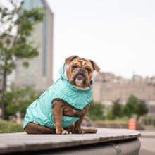 Load image into Gallery viewer, GF Pet Reversible Raincoat - Teal/Iridescent