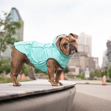 Load image into Gallery viewer, GF Pet Reversible Raincoat - Teal/Iridescent