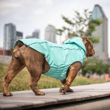 Load image into Gallery viewer, GF Pet Reversible Raincoat - Teal/Iridescent