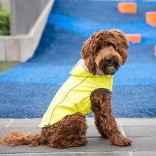 Load image into Gallery viewer, GF Pet Reversible Raincoat - Neon Yellow/Tie-Dye