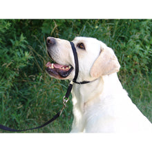 Load image into Gallery viewer, Gentle Leader® Dog Headcollar