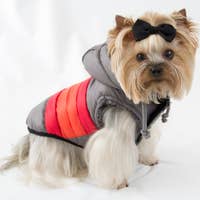 Load image into Gallery viewer, Soft Stripe Puffer Coat – Gray by Hip Doggie