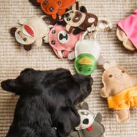 Load image into Gallery viewer, Wee Buddies™ Sock Monkey & Raccoon