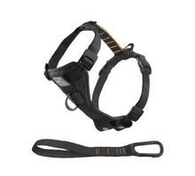 Load image into Gallery viewer, Tru-Fit Smart Dog Walking Harness by Kurgo