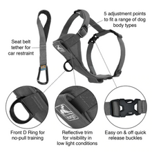Load image into Gallery viewer, Tru-Fit Smart Dog Walking Harness by Kurgo