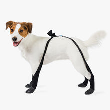 Load image into Gallery viewer, Walkee Paws - SNUG FIT