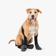 Load image into Gallery viewer, Walkee Paws - SNUG FIT