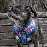 Load image into Gallery viewer, Royal Garden Reversible Harness by Lucy & Co.