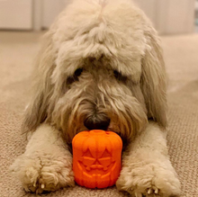 Load image into Gallery viewer, MKB JACK O' LANTERN DURABLE RUBBER CHEW TOY & TREAT DISPENSER - LARGE - ORANGE