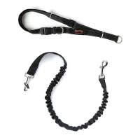 Load image into Gallery viewer, Hands Free Bungee Leash Set