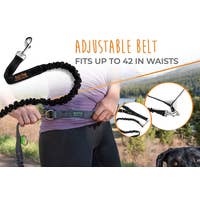 Load image into Gallery viewer, Hands Free Bungee Leash Set