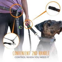 Load image into Gallery viewer, Hands Free Bungee Leash Set