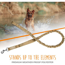 Load image into Gallery viewer, Dual Handle Bungee Leash - Canvas