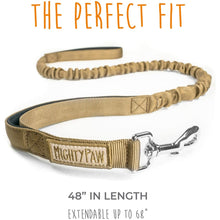 Load image into Gallery viewer, Dual Handle Bungee Leash - Canvas