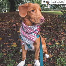 Load image into Gallery viewer, Aztec Dog Scarf by Puppy Riot