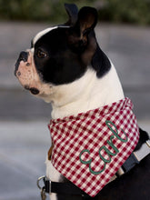 Load image into Gallery viewer, Burgundy Gingham Bandana by Puppy Riot