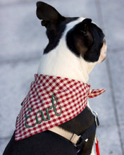 Load image into Gallery viewer, Burgundy Gingham Bandana by Puppy Riot