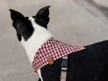 Load image into Gallery viewer, Burgundy Gingham Bandana by Puppy Riot