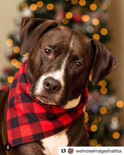 Load image into Gallery viewer, Red & Black Plaid Bandana by Puppy Riot