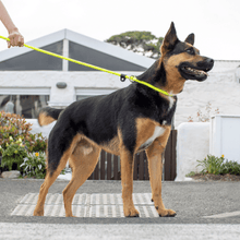 Load image into Gallery viewer, Rogz Rope Quick-Fit Lead