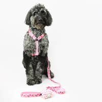 Load image into Gallery viewer, StarBARKS & Sprinkles Dog Harness