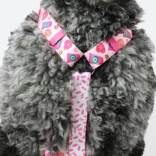 Load image into Gallery viewer, StarBARKS & Sprinkles Dog Harness