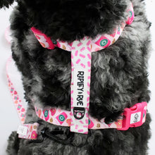 Load image into Gallery viewer, StarBARKS & Sprinkles Dog Harness