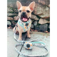 Load image into Gallery viewer, &#39;Bee Sassy&#39; Adjustable Dog Harness by Sassy Woof
