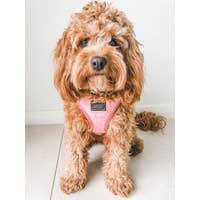 Load image into Gallery viewer, 'Dolce Rose' Reversible Dog Harness by Sassy Woof