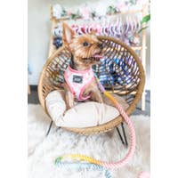 Load image into Gallery viewer, 'Dolce Rose' Reversible Dog Harness by Sassy Woof
