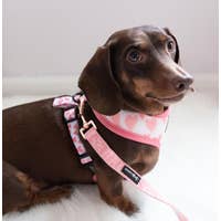 Load image into Gallery viewer, 'Dolce Rose' Dog Fabric Leash by Sassy Woof