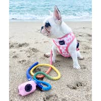 Load image into Gallery viewer, 'Dolce Rose' Dog Waste Bag Holder by Sassy Woof