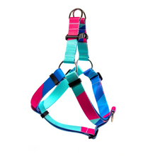 Load image into Gallery viewer, Step-In Harness PRISM 2 by Woof Concept