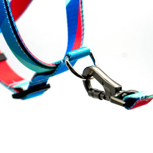 Load image into Gallery viewer, Step-In Harness PRISM 2 by Woof Concept