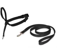 Load image into Gallery viewer, Easy Walk® Headcollar