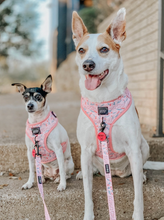Load image into Gallery viewer, 'Mama's Girl' Adjustable Dog Harness