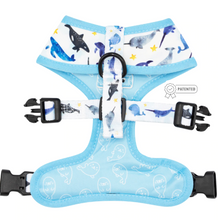 Load image into Gallery viewer, 'Whale, Hello There' Reversible Dog Harness